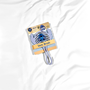 Cepillo Stitch